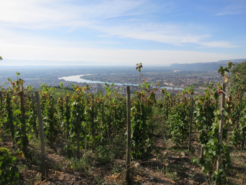 Söndag 6